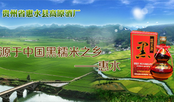 天宸元集团官网建设