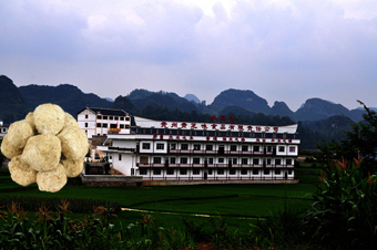 中环球船务官方网站设计